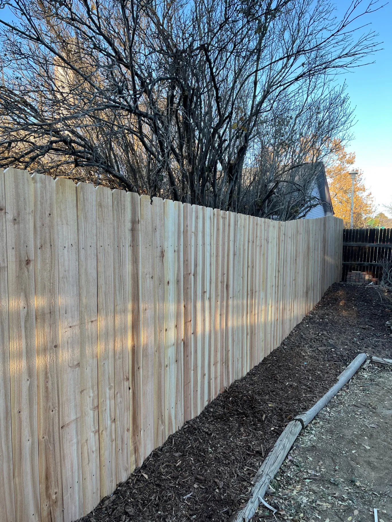 New cedar dog-ear privacy fence installed along side yard with fresh mulch bed