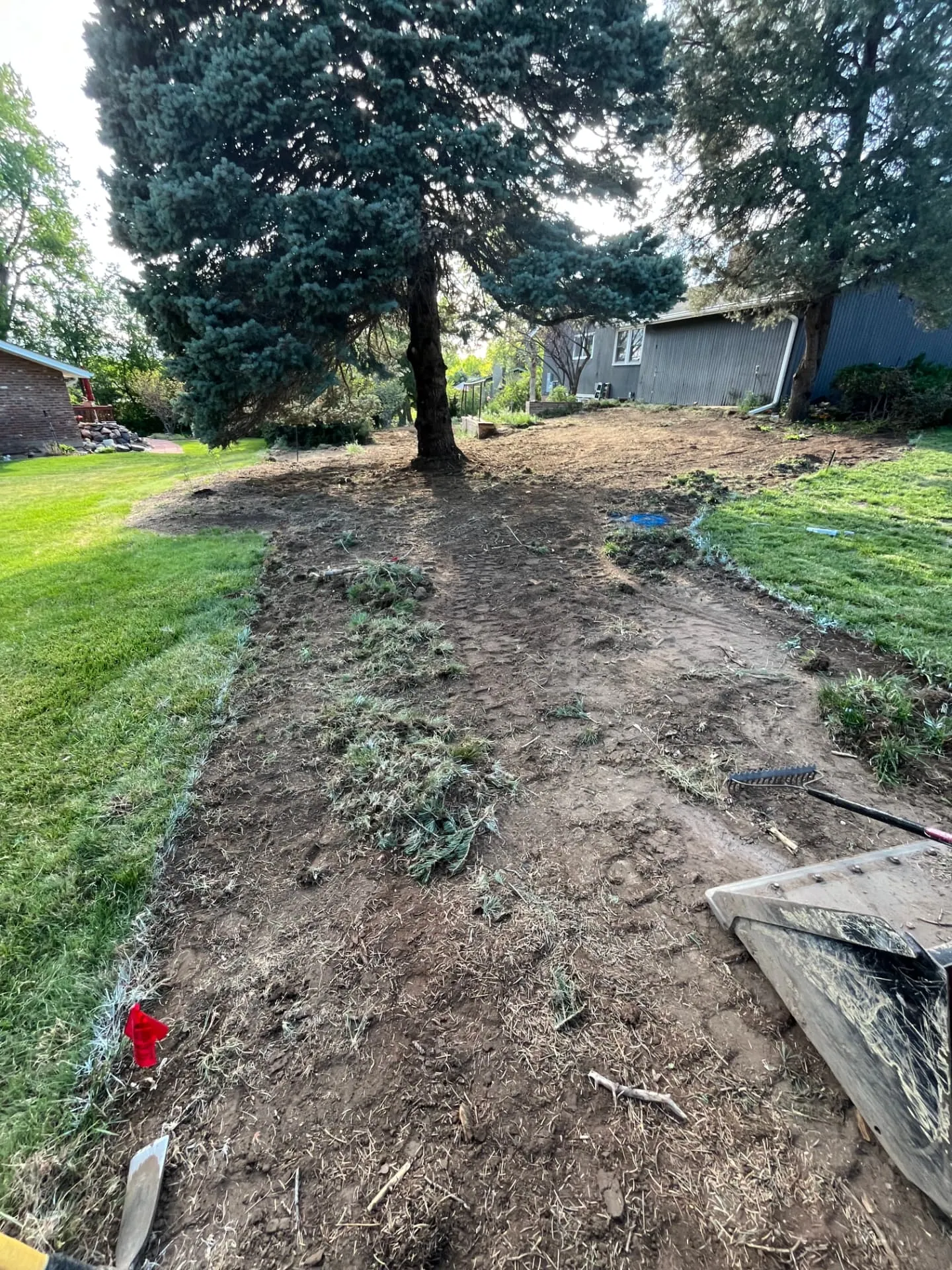 Sod stripping and rough grading in progress across a backyard with utility flags marked